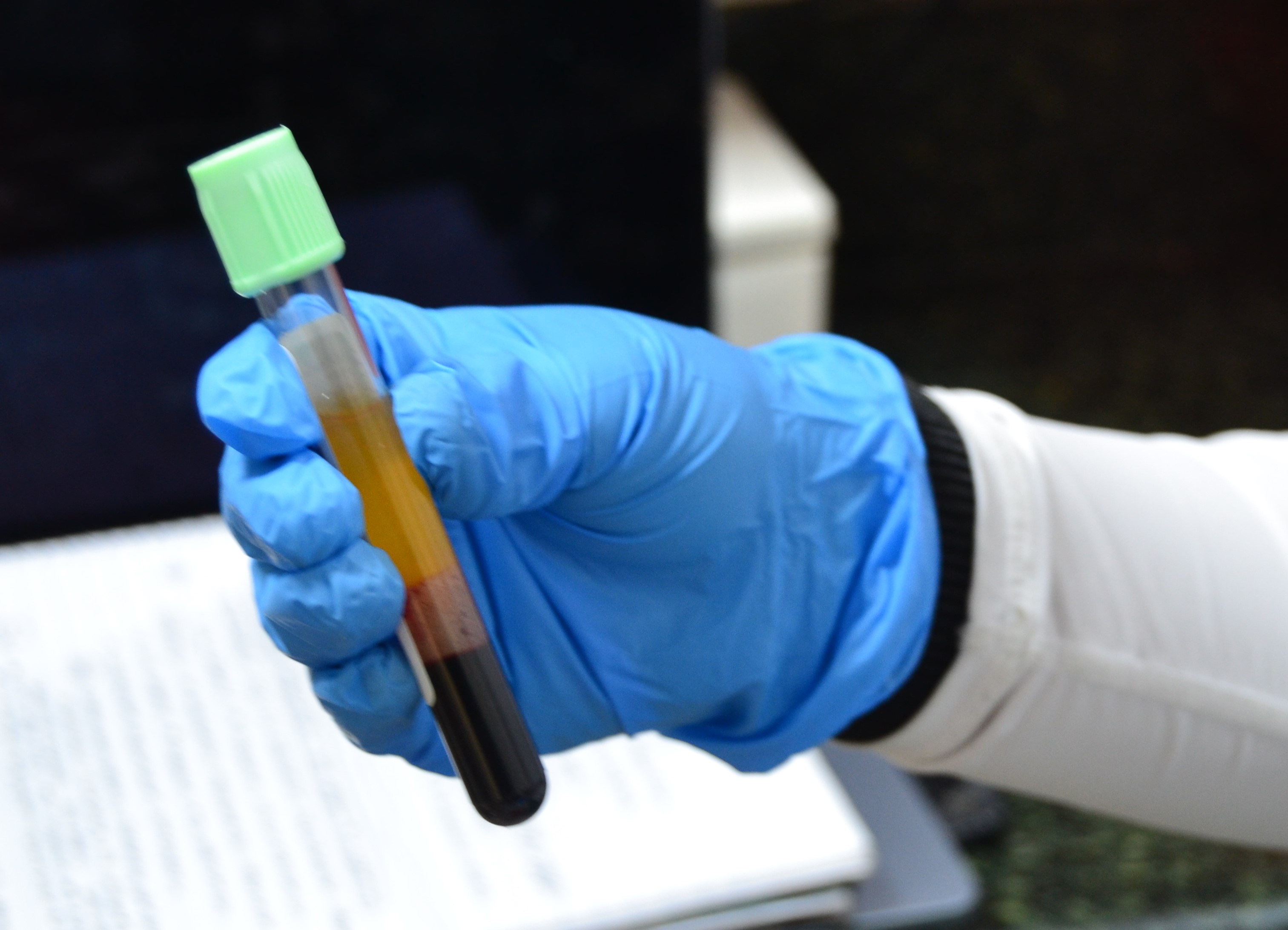 Lab